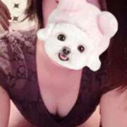 ヒメ日記 2025/12/21 10:13 投稿 菖（あやめ） 那珂川角海老