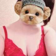 ヒメ日記 2026/01/04 06:53 投稿 菖（あやめ） 那珂川角海老