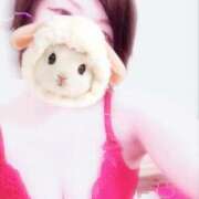 ヒメ日記 2026/01/28 06:33 投稿 菖（あやめ） 那珂川角海老