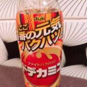 ヒメ日記 2026/01/31 16:33 投稿 菖（あやめ） 那珂川角海老