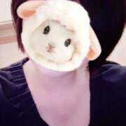 ヒメ日記 2026/01/31 18:53 投稿 菖（あやめ） 那珂川角海老