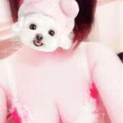 ヒメ日記 2026/02/01 10:53 投稿 菖（あやめ） 那珂川角海老