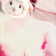 ヒメ日記 2026/02/01 16:13 投稿 菖（あやめ） 那珂川角海老