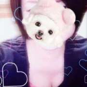 ヒメ日記 2026/02/02 10:53 投稿 菖（あやめ） 那珂川角海老