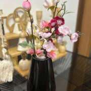 ヒメ日記 2026/02/12 11:13 投稿 菖（あやめ） 那珂川角海老