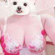 ヒメ日記 2026/02/13 15:53 投稿 菖（あやめ） 那珂川角海老