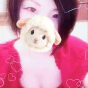 ヒメ日記 2026/02/14 11:07 投稿 菖（あやめ） 那珂川角海老