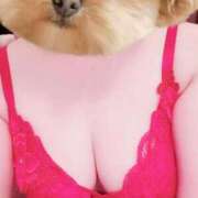 ヒメ日記 2026/02/17 12:30 投稿 菖（あやめ） 那珂川角海老