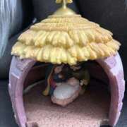 ヒメ日記 2026/02/17 17:43 投稿 菖（あやめ） 那珂川角海老