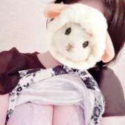 ヒメ日記 2026/02/20 18:26 投稿 菖（あやめ） 那珂川角海老