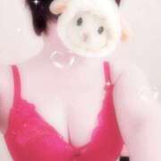 ヒメ日記 2026/02/23 10:53 投稿 菖（あやめ） 那珂川角海老