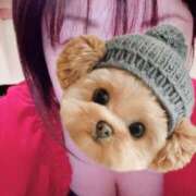 ヒメ日記 2026/03/02 15:23 投稿 菖（あやめ） 那珂川角海老