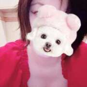 ヒメ日記 2026/03/05 10:53 投稿 菖（あやめ） 那珂川角海老