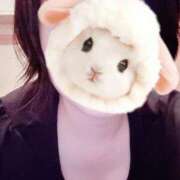 ヒメ日記 2026/03/08 14:56 投稿 菖（あやめ） 那珂川角海老