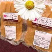 ヒメ日記 2026/04/20 14:33 投稿 菖（あやめ） 那珂川角海老