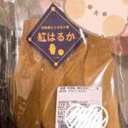 ヒメ日記 2026/04/30 14:53 投稿 菖（あやめ） 那珂川角海老