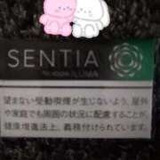 菖（あやめ） ありがとうございます 那珂川角海老