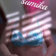 ヒメ日記 2025/04/24 08:57 投稿 澄香(すみか) 相模原人妻城