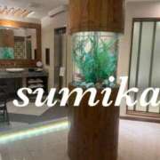 ヒメ日記 2025/09/03 00:36 投稿 澄香(すみか) 相模原人妻城