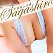 ヒメ日記 2025/09/07 14:12 投稿 澄香(すみか) 相模原人妻城