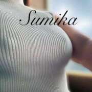 ヒメ日記 2026/04/15 09:33 投稿 澄香(すみか) 相模原人妻城