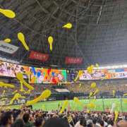 ヒメ日記 2026/04/19 17:27 投稿 高田紗理奈 五十路マダム 博多店