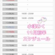 ヒメ日記 2024/10/31 19:16 投稿 小澤みく 華椿