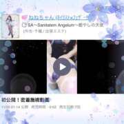 ヒメ日記 2024/11/20 12:21 投稿 ねねちゃん SA～Sanitatem Angelum～癒やしの天使