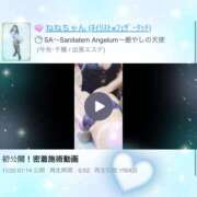 ヒメ日記 2024/12/01 19:29 投稿 ねねちゃん SA～Sanitatem Angelum～癒やしの天使