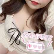 ヒメ日記 2025/02/24 22:51 投稿 ねねちゃん SA～Sanitatem Angelum～癒やしの天使