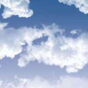 ヒメ日記 2025/03/14 07:11 投稿 ねねちゃん SA～Sanitatem Angelum～癒やしの天使