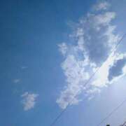 ヒメ日記 2025/03/16 06:31 投稿 ねねちゃん SA～Sanitatem Angelum～癒やしの天使