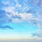 ヒメ日記 2025/03/25 06:51 投稿 ねねちゃん SA～Sanitatem Angelum～癒やしの天使