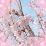 ヒメ日記 2025/03/26 13:06 投稿 ねねちゃん SA～Sanitatem Angelum～癒やしの天使