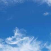 ヒメ日記 2025/03/31 09:21 投稿 ねねちゃん SA～Sanitatem Angelum～癒やしの天使