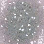 ヒメ日記 2025/04/01 09:21 投稿 ねねちゃん SA～Sanitatem Angelum～癒やしの天使