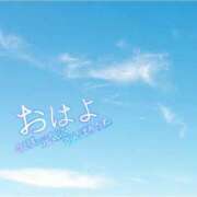 ヒメ日記 2025/04/16 08:01 投稿 ねねちゃん SA～Sanitatem Angelum～癒やしの天使