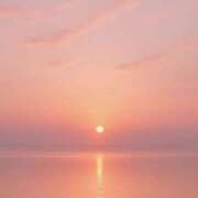 ヒメ日記 2025/05/09 08:31 投稿 ねねちゃん SA～Sanitatem Angelum～癒やしの天使