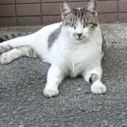 ヒメ日記 2025/09/04 14:31 投稿 癒やしの天使 SA～Sanitatem Angelum～癒やしの天使