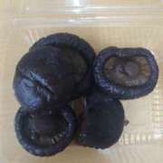 ヒメ日記 2025/11/25 19:23 投稿 癒やしの天使 SA～Sanitatem Angelum～癒やしの天使