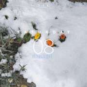 ヒメ日記 2025/02/09 23:11 投稿 七海さん SA～Sanitatem Angelum～癒やしの天使