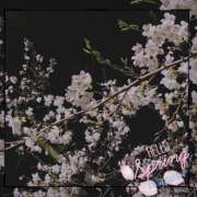 ヒメ日記 2025/04/06 21:21 投稿 七海さん SA～Sanitatem Angelum～癒やしの天使