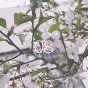 ヒメ日記 2025/04/08 23:51 投稿 七海さん SA～Sanitatem Angelum～癒やしの天使