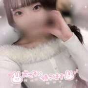 ヒメ日記 2024/12/18 17:06 投稿 なな スピードエコ京橋店