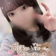 ヒメ日記 2025/04/25 17:11 投稿 なな スピードエコ京橋店