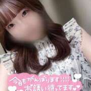 ヒメ日記 2025/07/26 18:31 投稿 なな スピードエコ京橋店