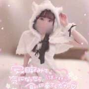 ヒメ日記 2025/11/14 20:41 投稿 なな スピードエコ京橋店