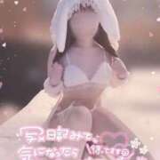 ヒメ日記 2025/11/16 15:02 投稿 なな スピードエコ京橋店