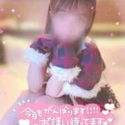 ヒメ日記 2025/12/19 20:21 投稿 なな スピードエコ京橋店