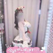 ヒメ日記 2025/12/30 19:11 投稿 なな スピードエコ京橋店